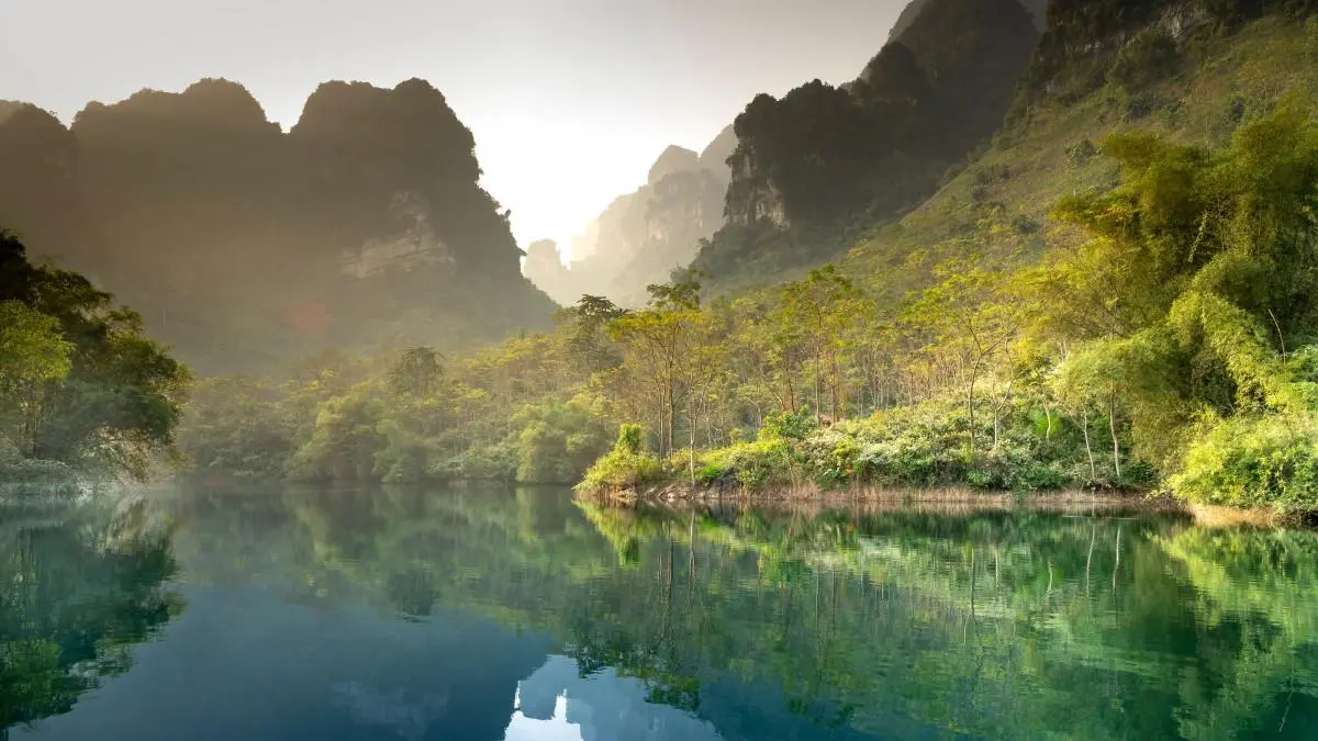 智能系统智能绿色